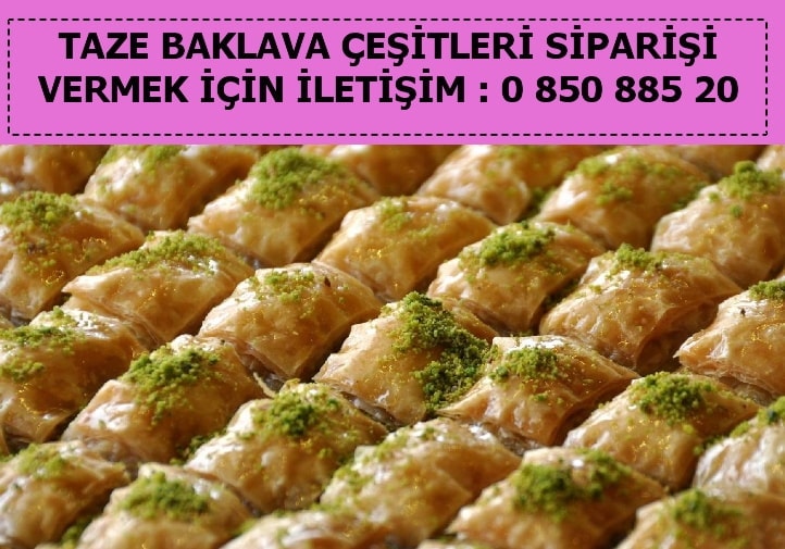 Kayseri Mantar Tatls baklava eitleri baklava tepsisi fiyat tatl eitleri fiyat ucuz baklava siparii gnder yolla